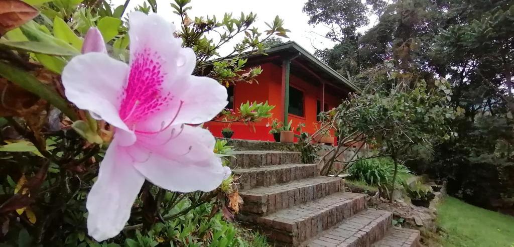 Tena House | Nuestro Bosque I
