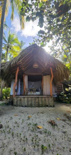 Palomino Bed & Breakfast | Nueva onda
