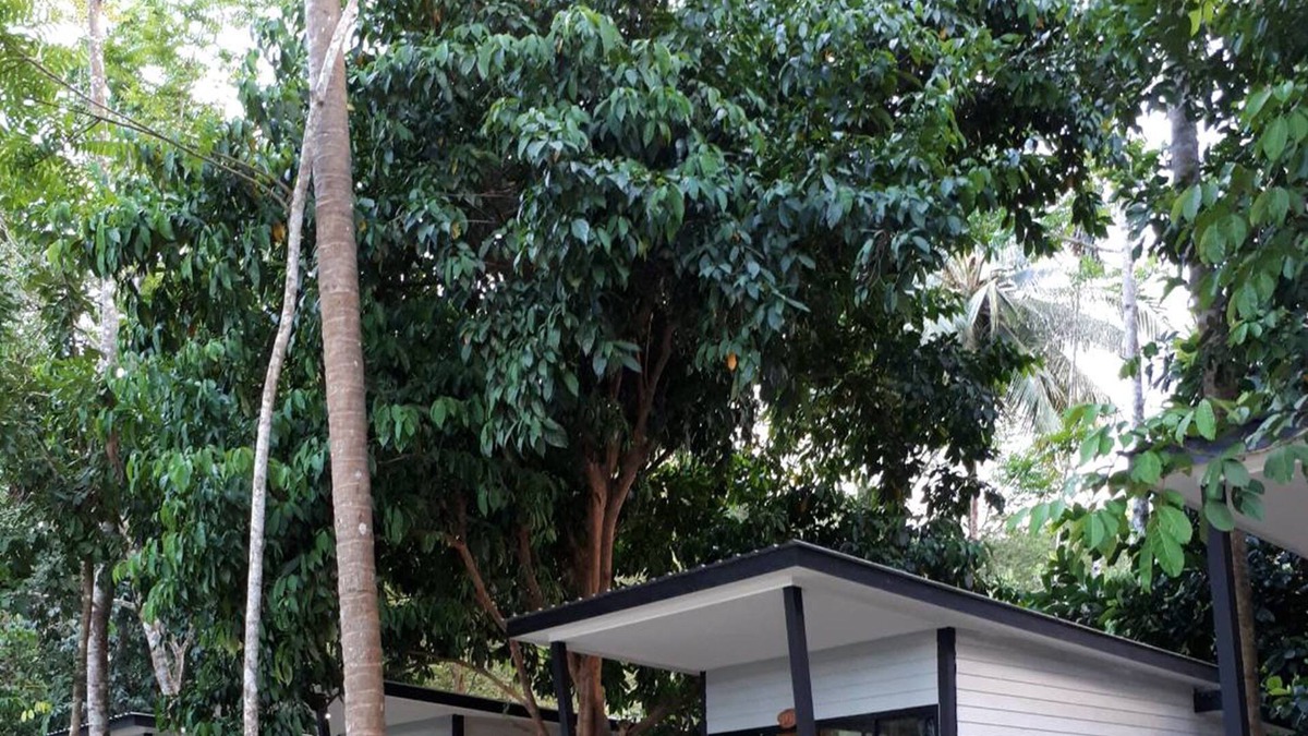 Kamlon Hotel | Num Chaykhong