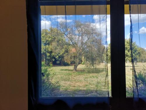 Norbello House | Nuraghe Ruiu Camping & Bungalow