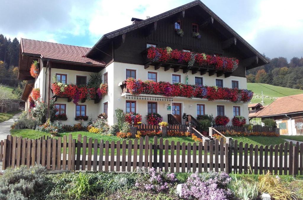 Tiefgraben House | Nussbaumer am Irrsee