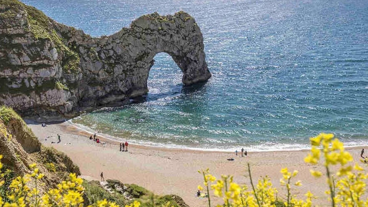 Holworth RV Rental | Nuthatch Cabin at Cloudshill Glade - Campsite