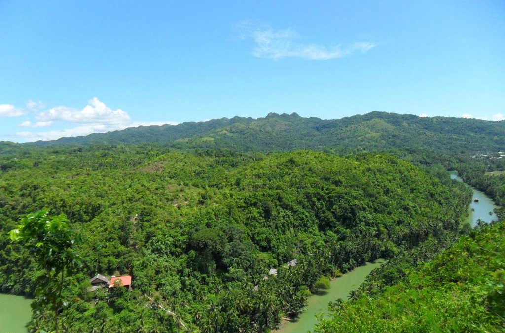 Loboc Hotel | Nuts Huts