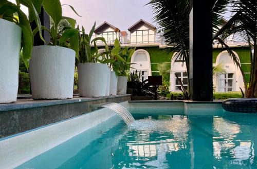 Arpora Resort | NYAST VALLEY RESORT, ARPORA