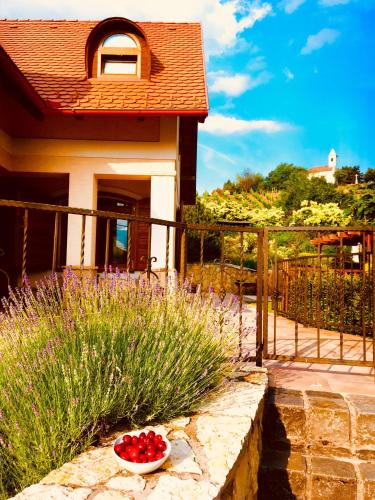 Szigliget House | Nyugalom Szigete Vendégház SZIGLIGET