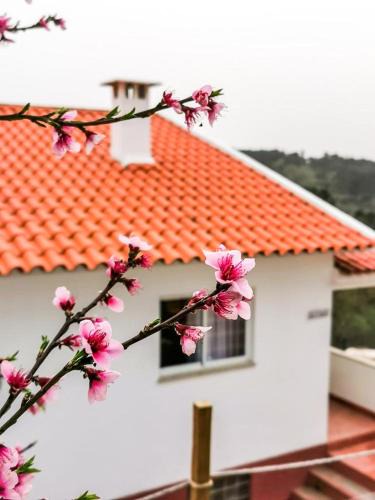 Tabua House | O Refúgio