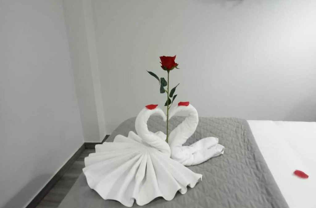 Melo Apartment | O Salgueiro