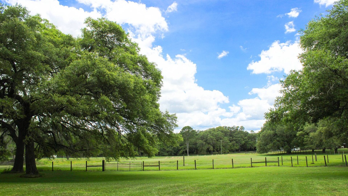 Morriston Cabin | Oak Flats Farm - Pet Friendly - Star Link - Outdoor Shower