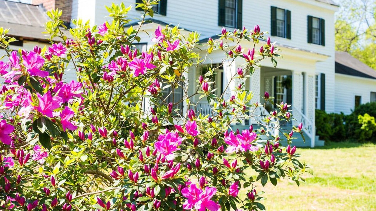 South Boston Bed & Breakfast | Oak Grove Bed and Breakfast