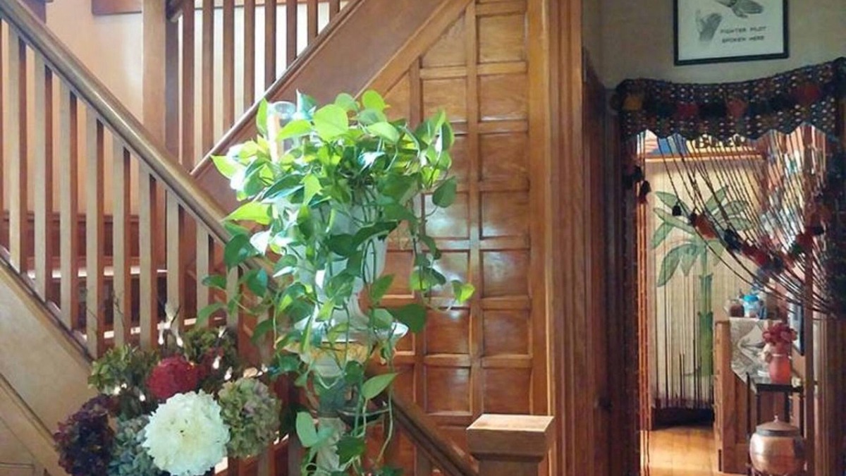 Springville Bed & Breakfast | Oasis Bed and Breakfast
