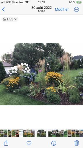 Jonquiere House | Oasis de la rivière