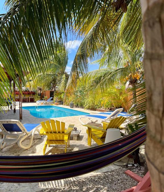Belnem House | Oasis guesthouse, Boutique Style Hotel