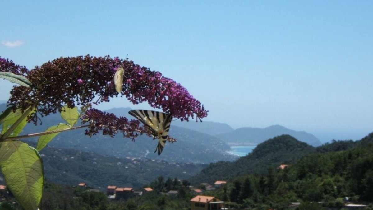 San Colombano Certenoli Apartment | Oasis of relaxation between land and sea! Eco - Friendly Property CIN IT010053C29KS5ZQKV