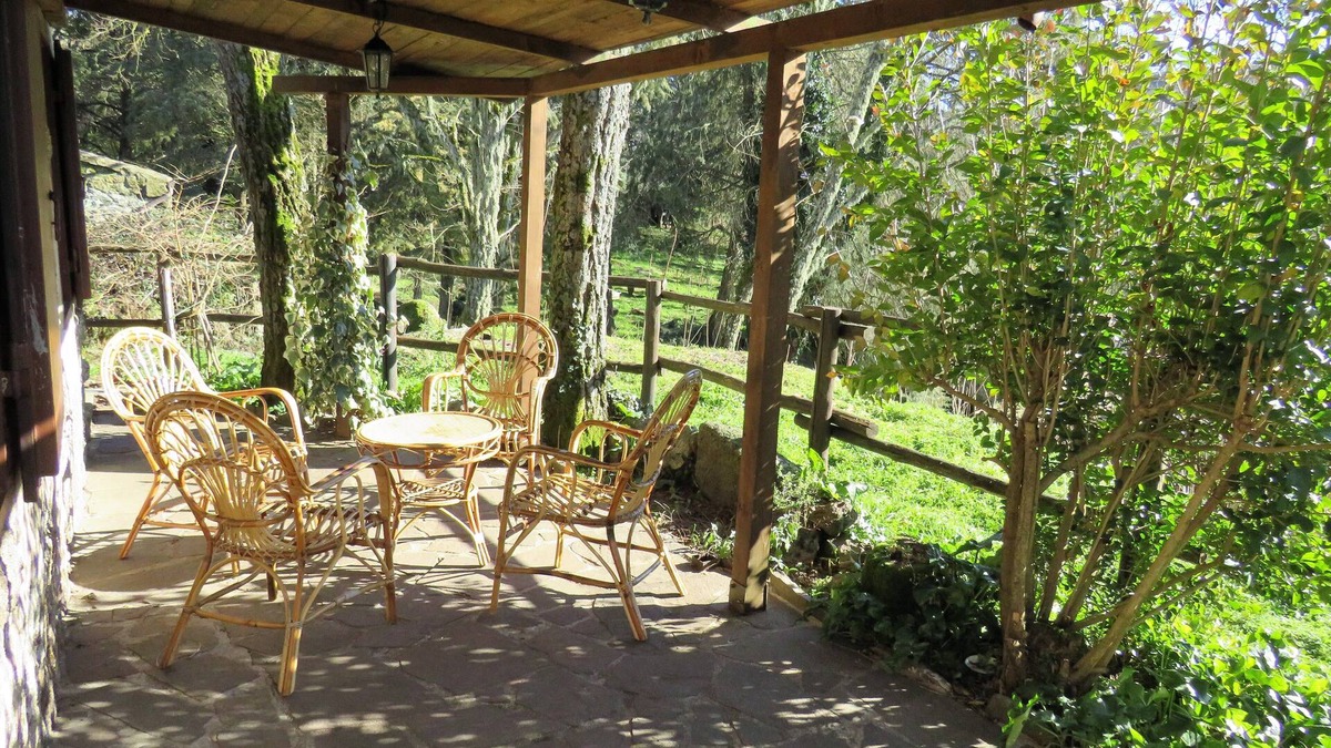 Bolotana Cabin | Oasis of peace in the mountains