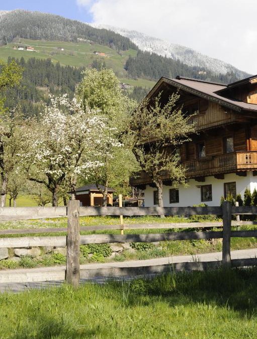 Hoarberg Apartment | Oberstockachhof
