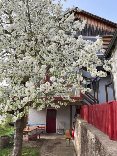 Solnhofen Apartment | Obertraum Appartement und Ferienwohnung