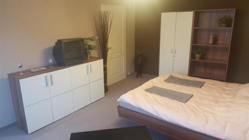 Kaszasdulo Apartment | Obuda Apartment