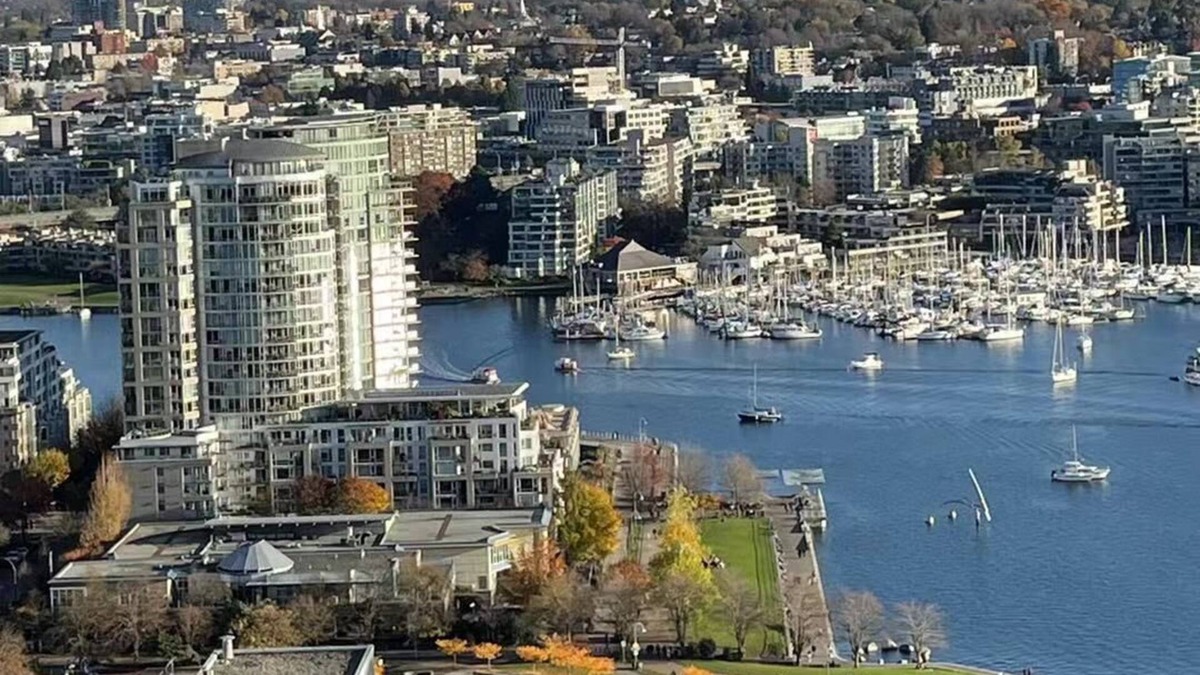 Granville Island Apartment | Ocean/city/mountain view /AC/free parking/1 BR
