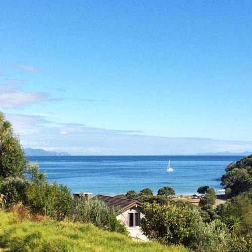 Kuaotunu House | Ocean Cliff Court