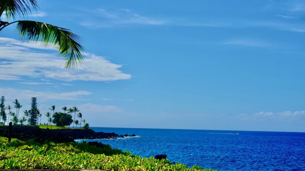 Kahaluu-Keauhou House | OCEAN FRONT 2bd/rm Townhome New Remodel Ocean and Sunset Views AC Pickleball!