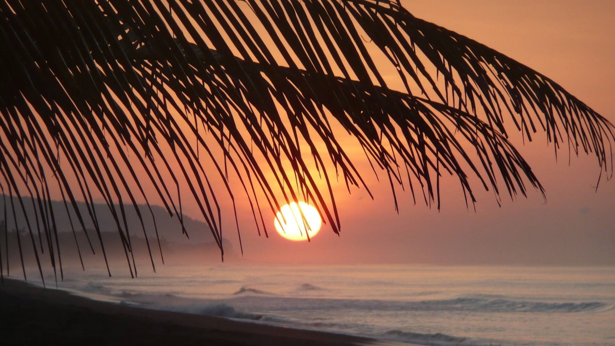 Carate House | Ocean front beach home, lagoon sunrise, Corcovado sunset, wildlife, kayaks, WIFI