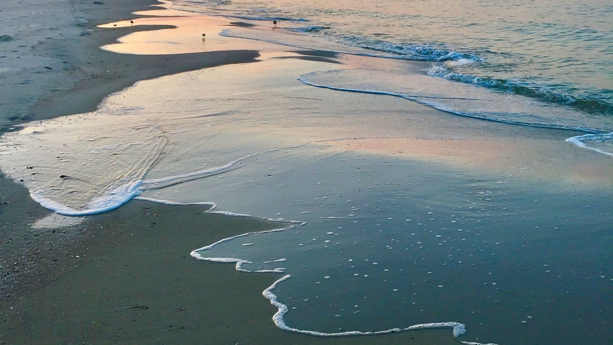 Dauphin Island Condo | Ocean Front, Beautiful Beach/Ocean View, Pools, Stylish & Comfortable