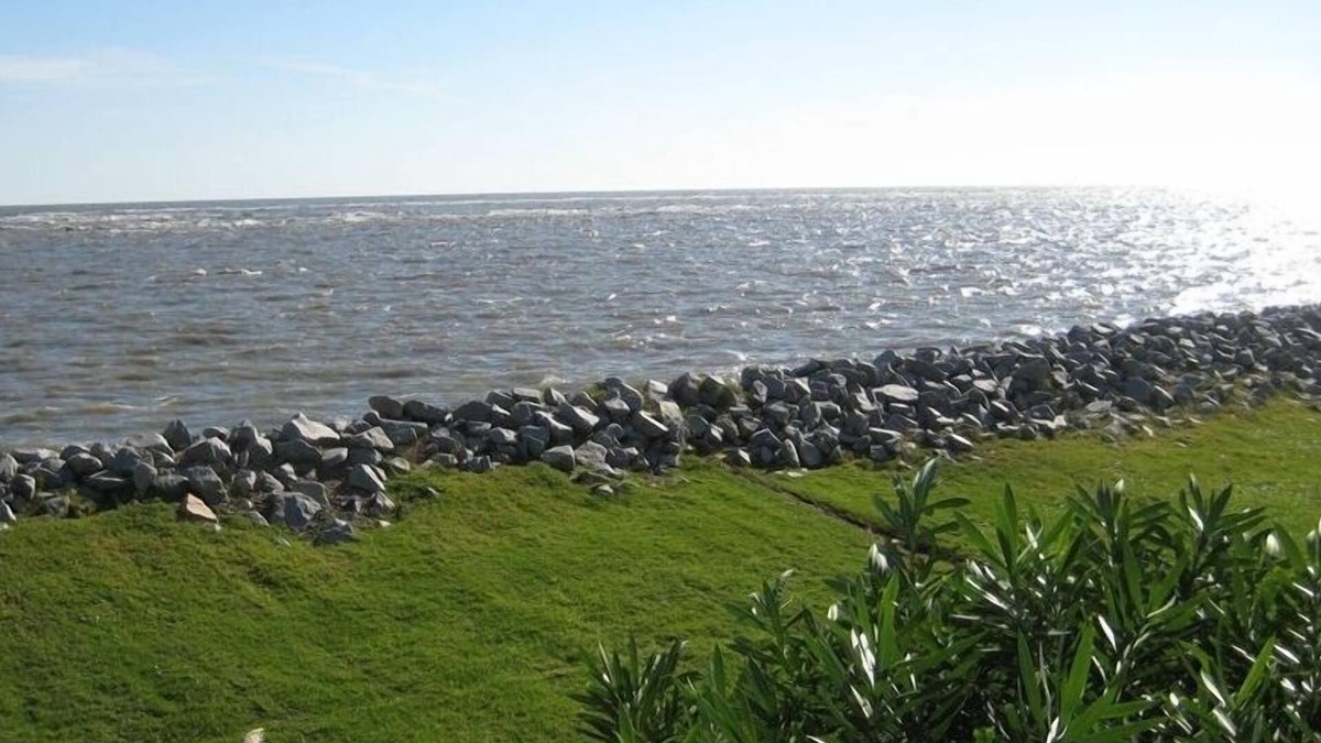 Saint Helena Island Condo | OCEAN FRONT GOLF COURSE CONDO