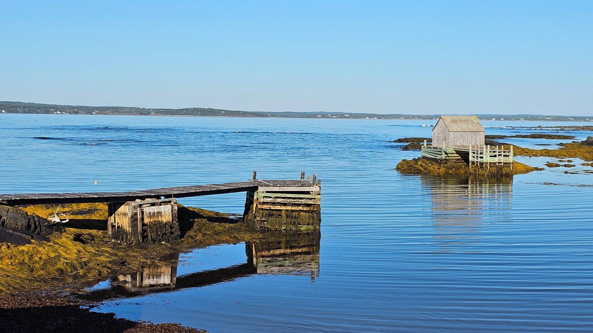 Blue Rocks House | Ocean Front Retreat - Morning coffee watching the BlueNose sail by.