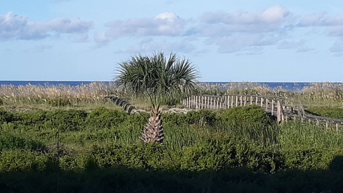 Beachwalk Condo | Ocean Front & pool view. Hunting Island pass included