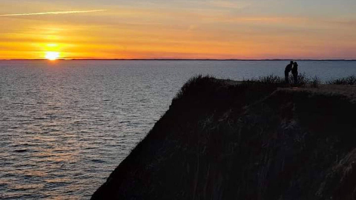 Seal Cove Cottage | Ocean view 3 bdrm cottage near Seal Cove Beach. Full kitchen, sleeps 6.