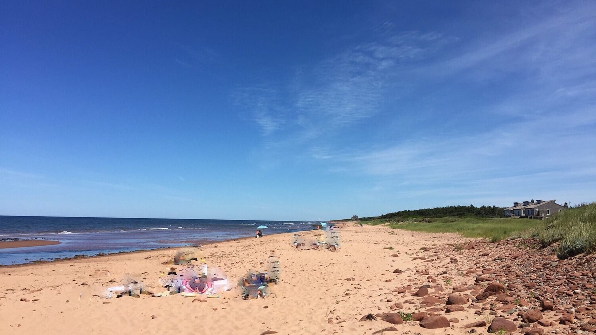 Savage Harbour Cottage | Ocean View 3 Bedroom North Shore Cottage in PEI