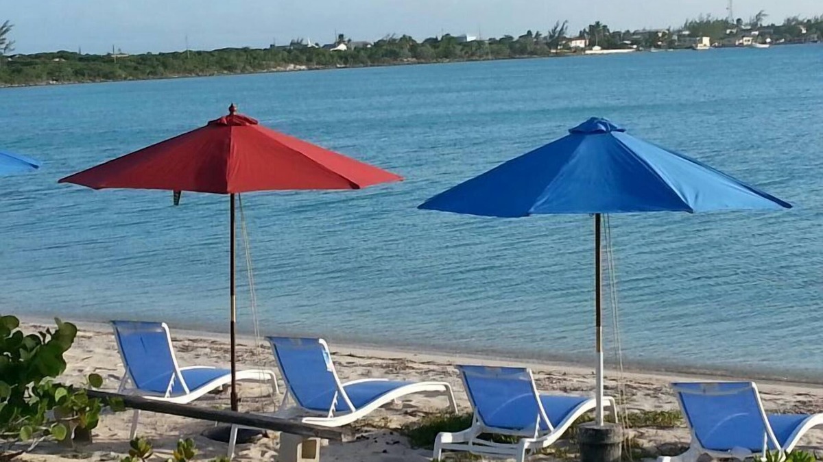 Black Point Apartment | Ocean View- and Banks Vacation Spot Awaits You