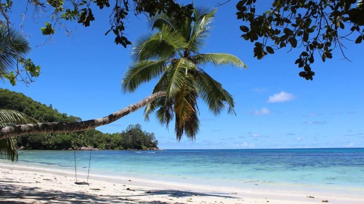 Mahe Island Apartment | Ocean view apartment in south Mahe, just in front of Baie Lazare beach.