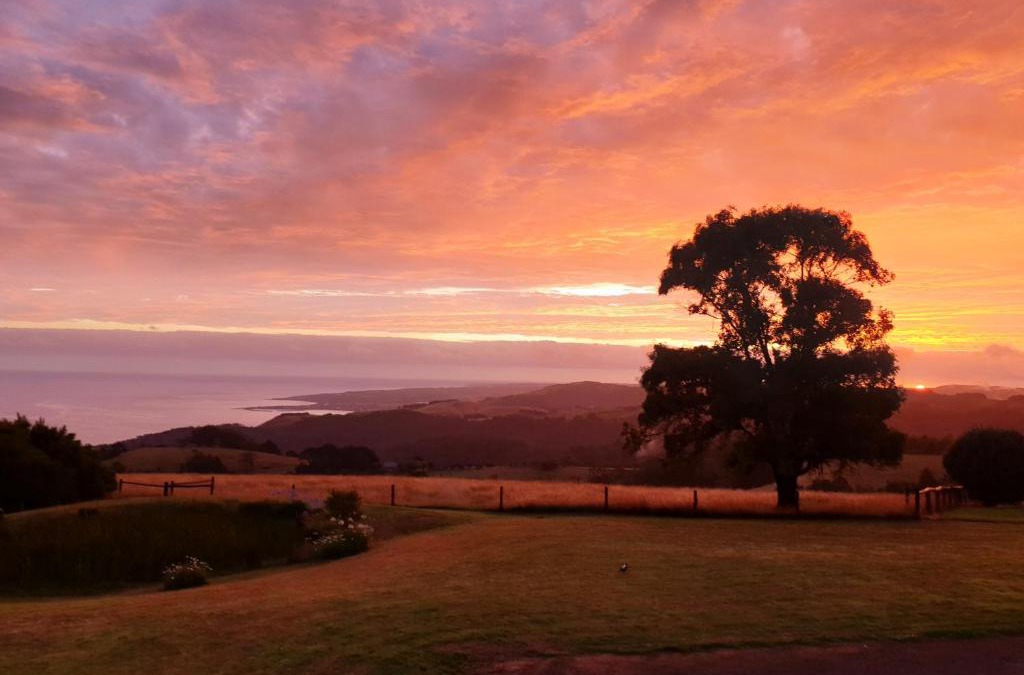 Skenes Creek North House | Ocean-view Hilltop Retreat
