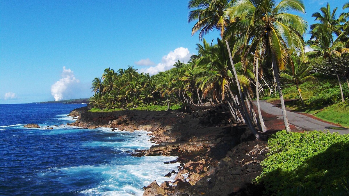 Pahoa House | OCEAN View large home close to BEACH on 3 private landscape acres.nnnn