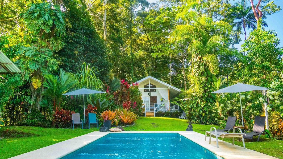 Punta Uva Cottage | Ocean view luxury property, AC, pool in the jungle at short walk to the beach.