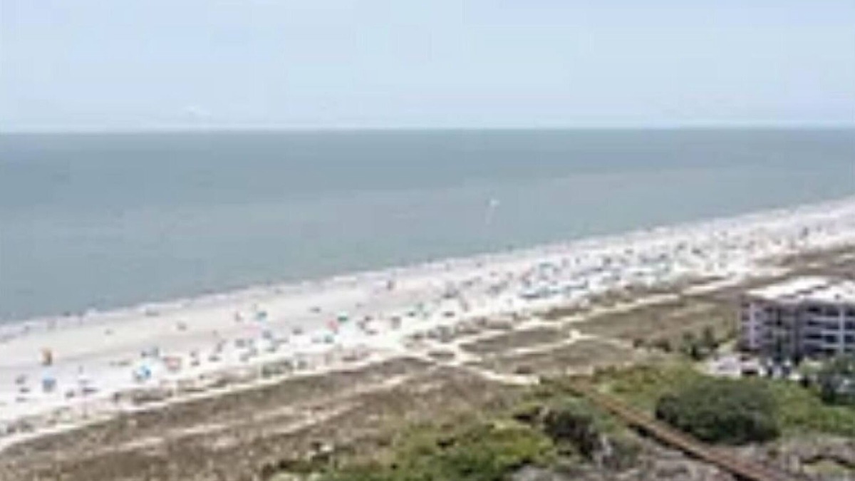 Folly Field Condo | Ocean View, Onsite Restaurants/playground, Walkable, Secure, On Trolley Route