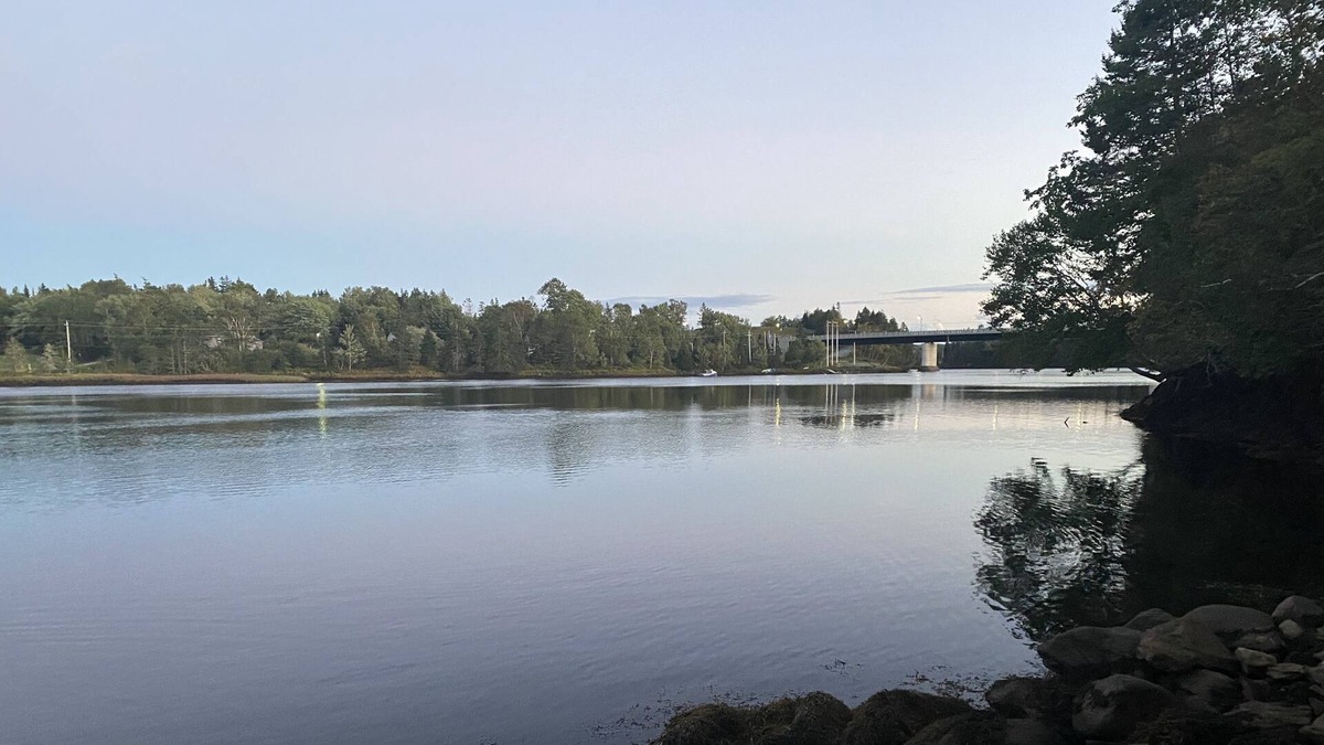 Sheet Harbour House | Ocean view private 2 acres great for wedding or events boating team builder😎👩‍👦‍👦🐕‍🦺🌈🚵‍♀️