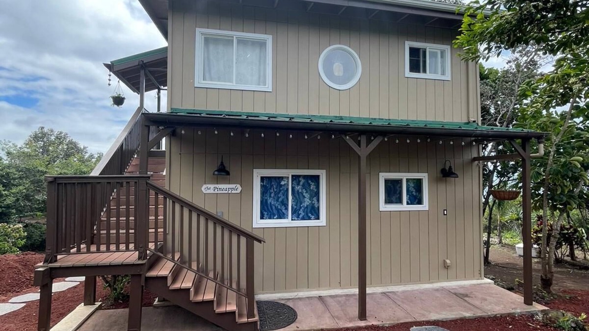 Ocean View Apartment | Ocean View /The Pineapple - Major renovations just completed.