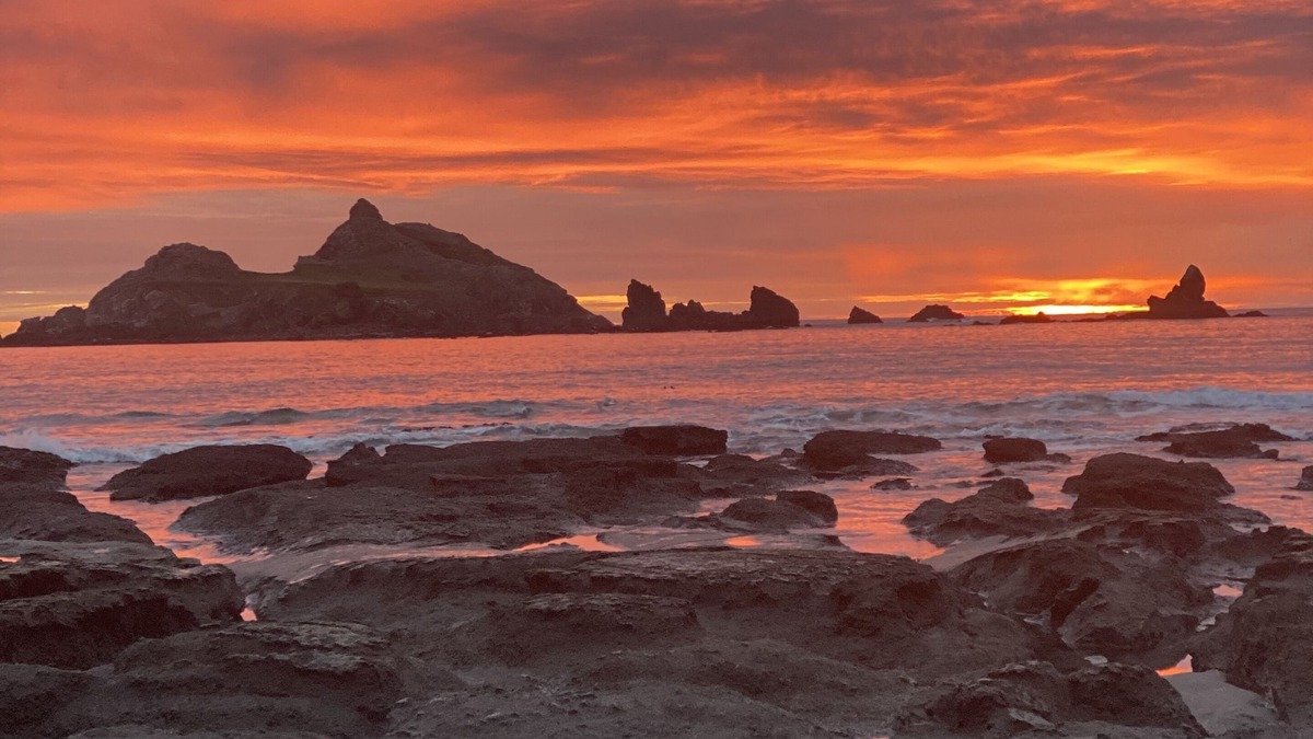 Crescent City North House | Oceanfront, Amazing Sunsets, Whales, Surfing, Biking, Short walk to beach