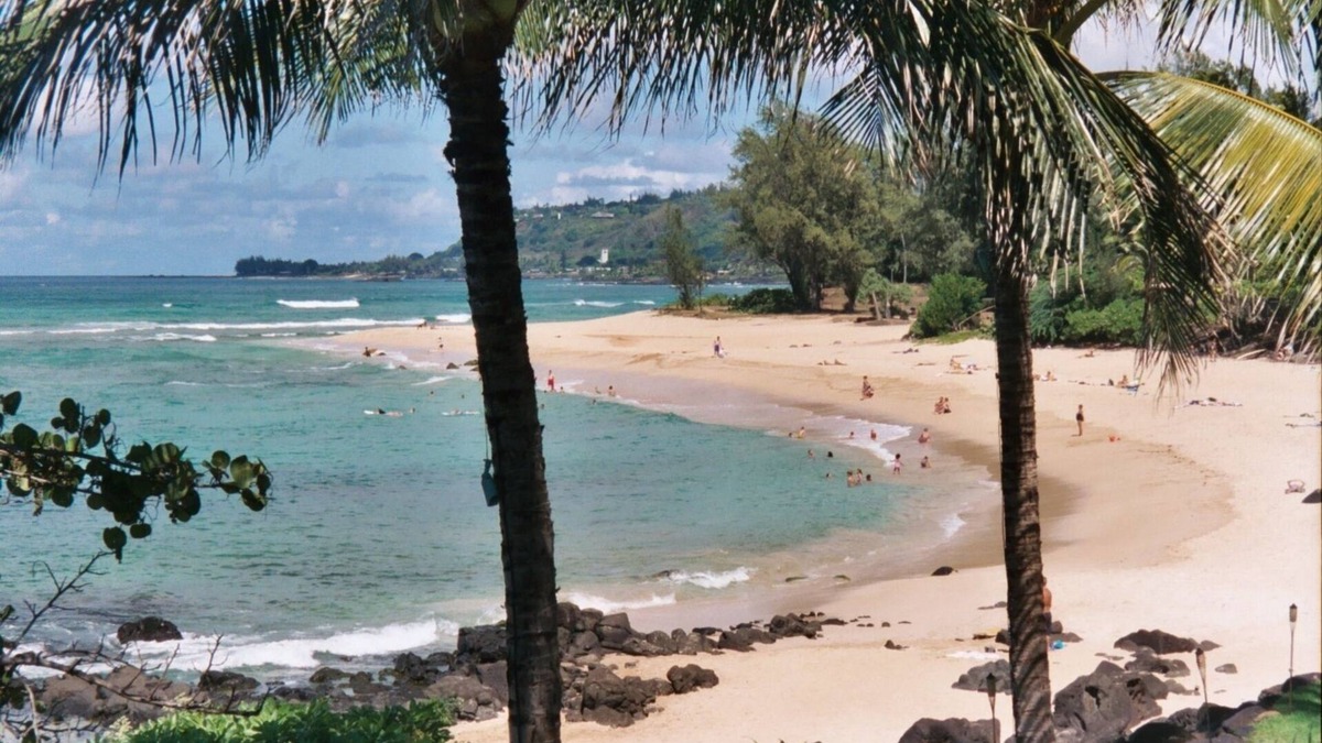 Haleiwa House | Oceanfront Beach House - Tropical Paradise!