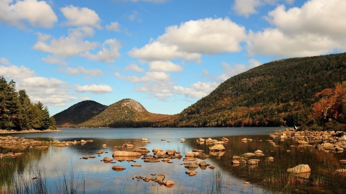 Salsbury Cove Cottage | Oceanfront Cottage at Acadia National Park, Bar Harbor/Shearwater Cottage
