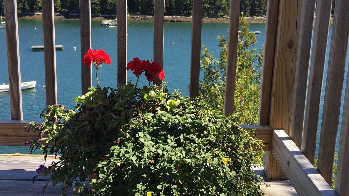 Harpswell Cottage | Oceanfront cottage with dock and float on beautiful Quahog Bay