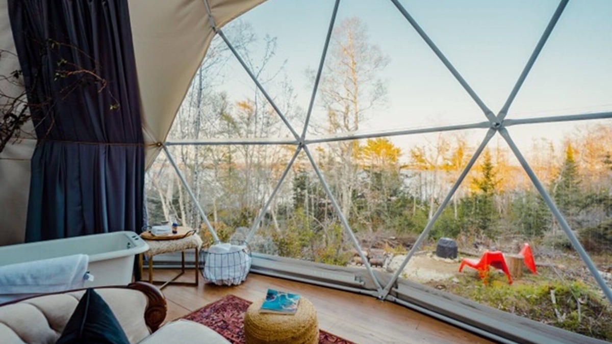 Ragged Island Cottage | Oceanfront Luxury Forest Shore Dome - Rocky Shores