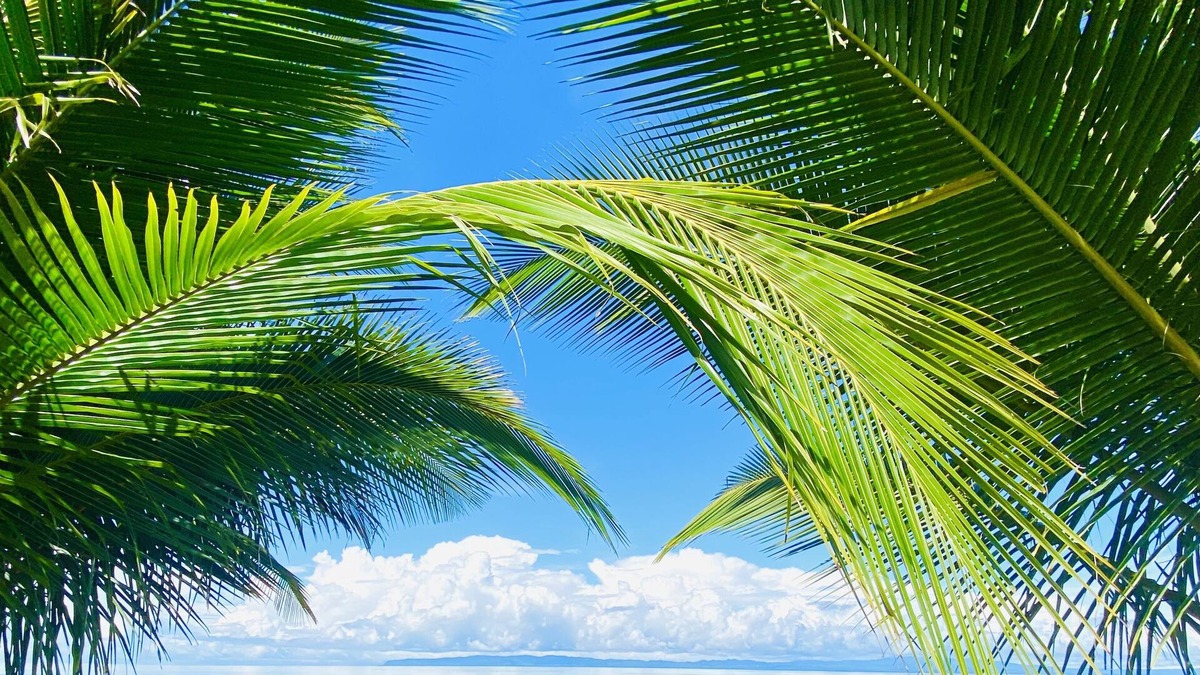 Playa Zancudo Villa | oceanfront oasis with private pool, AC- sleeps 14