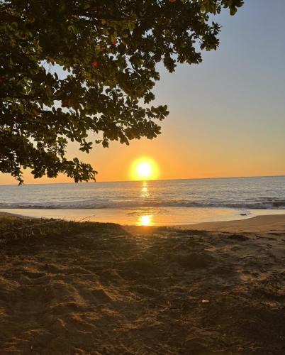 Algarrobos Apartment | Oceanfront Retreat w- Terrace, Direct access to Beach & BBQ