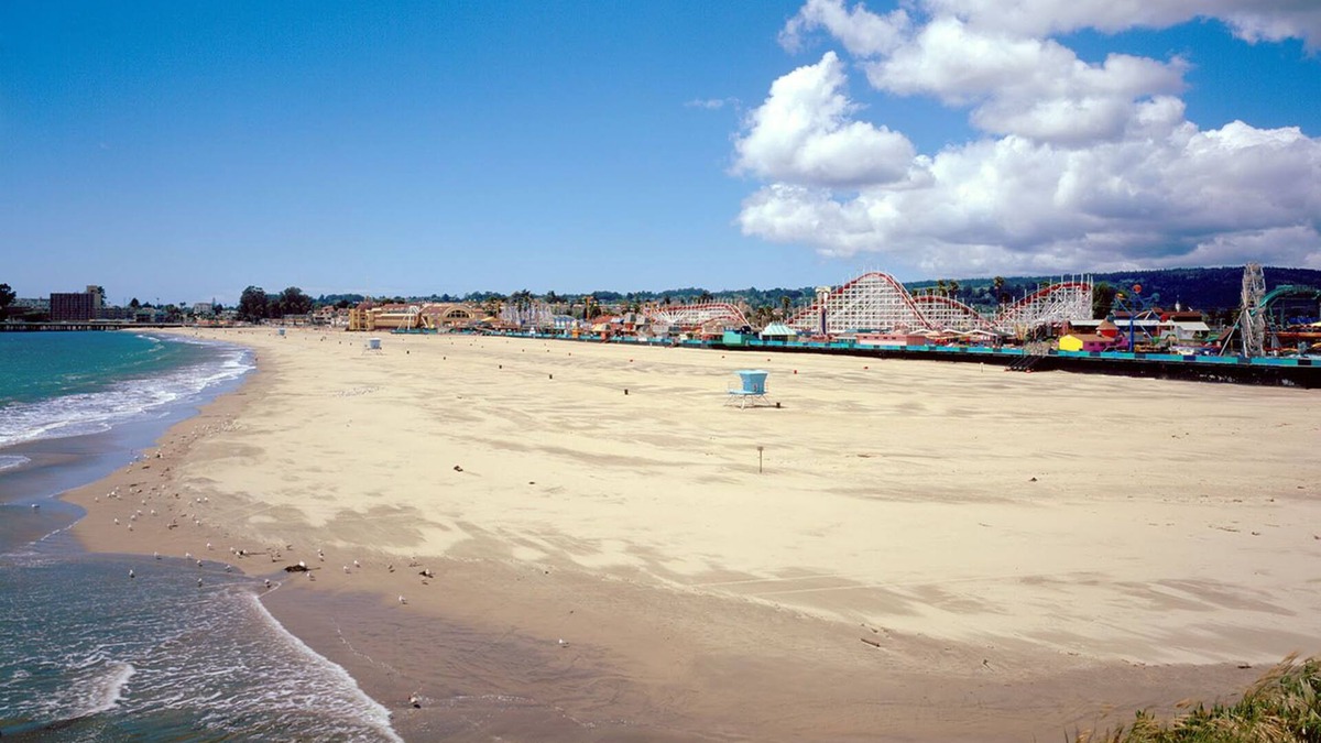 Westside Santa Cruz House | OCEANFRONT@ SANTA CRUZ BEACH *Complete Privacy* Backyard, Beach, Views, DOG OK!