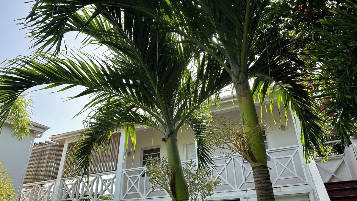 Dickenson Bay Apartment | Oceanfront Studio w/Amazing Views and Private Beach Access.