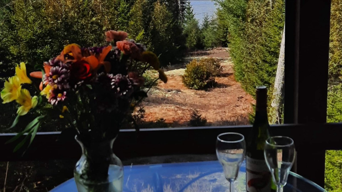 Gouldsboro Cottage | Oceanfront; Stunning views of Cadillac. Acadia & Schoodic nearby. Kayaks, too!