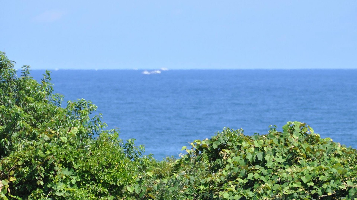 Montauk Apartment | Oceanview Studio 6, Twin Pond walk to Town/Beach Pass